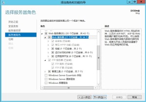 安装 FTP